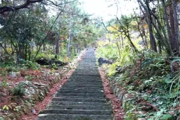 浙江十大古道排名霞客古道9.十里杜鹃古道10