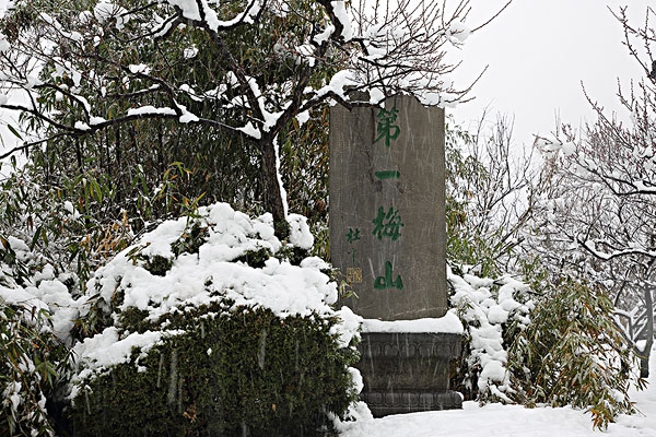 南京十大赏雪(xuě)胜地排行榜